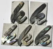 5 pieces of Lowercase K in Paua Abalone 15.5mm x 14mm x 1.5mm thickness