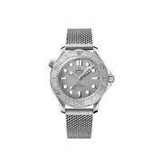 Omega Seamaster Diver 300M Co Axial Master Chronometer Steel Silver