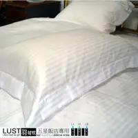 在飛比找PChome24h購物優惠-【LUST】五星級飯店專用/羽絨枕/ 送枕套1.4kg