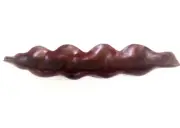 Wood Carved Bowl Cocobolo