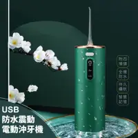 在飛比找momo購物網優惠-【牙潔淨】USB防水震動電動沖牙機-附四噴頭(口腔 洗牙機 