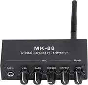 QANYEGN DC 12V Digital Reverberator Stereo Amplifier, Bluetooth System Stereo Amplifier, Digital Reverberator, Dual Microphone Input for Phone, Mp3, TV, CD Player, Laptop