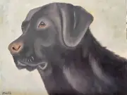 Original oil painting 11 x 14 inches black Labrador retriever dog