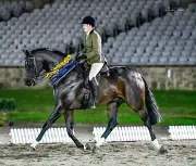 Horse Spray Shine Supa-Finish for Horses & Dogs Cattle Show Horse