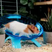 Pet Hamster Flying Saucer Exercise Squirrel Wheel Hamster Mouse Running Disc CR