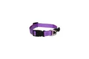 Rogz Purple Medium 16mm Wide x 26cm to 40cm Classic Utility Collar for Dogs & Puppies