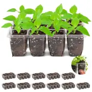 144-Cell Seed Tray 12-Pack with Drainage Holes for Easy Repotting