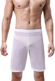 [Generic] Men's Sexy Mesh Shorts Hollow Breathable Boxers See Through Loose Underwear Trunks