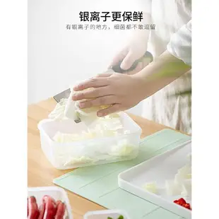 日本asvel抗菌銀離子保鮮盒冰箱食品密封盒水果餐盒塑料盒飯盒