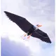 3D立體白頭鷹造型風箏（2米前桿式）附線圈
