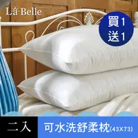 在飛比找PChome24h購物優惠-義大利La Belle《日本防蹣抗菌可水洗極致舒柔枕》二入