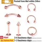 1 Pair Rose Gold Labrets Eyebrow Horseshoe Piercing Ear Lip Ring Body Jewellery