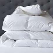 Renee Taylor Doona High Loft 600GSM Single Quilt w/Microfibre Fill/Cotton Cover