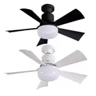 Small Ceiling Fans with Lights Remote Control for Bedroom Living Room Kitchen