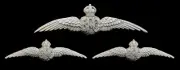 Royal Flying Corps Dress Badge & Collars Hallmarked Silver