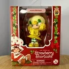 The Wonderful World Of Strawberry Shortcake Figure Holiday Series