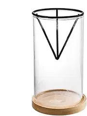 Avocado Tree Starter Rack | Growing Kit Avocado Tree Starter Vase | Glass Propagation Plant Pot Sprout Growing Vase for Women