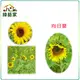 【綠藝家】大包裝H01.向日葵種子500克