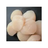 在飛比找蝦皮購物優惠-【小可生鮮】日本生食級干貝【10顆/包】 生食級干貝 北海道