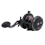 Penn 1366201 War30 Warfare 30 Star Drag Conventional Reel