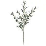 35" Green & Orange Olive Branch Stem by Ashland®