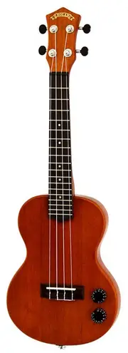 Leolani Solid Body Electric Ukulele with Gigbag