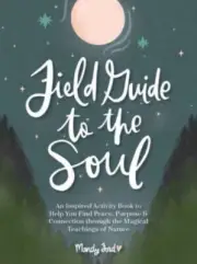 Field Guide to the Soul by Mandy Ford NEW Hardback