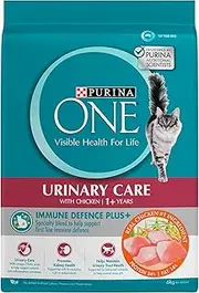 PURINA ONE Adult Dry Cat Food Urinary Care Chicken 6kg