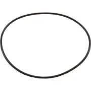 Waterway O-Ring, HiFlo, Volute, O-108 #805-0256
