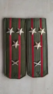 Colonel's Artillery Shoulder Straps, Russian Army