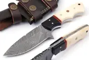 8" Fixed Blade Hunting Knife Damascus Steel Blade Camel Bone Handle