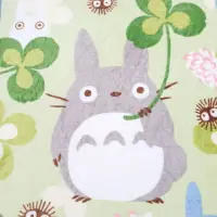 在飛比找蝦皮購物優惠-【TOTORO】龍貓 秋冬保暖 兒童絨毯 幼稚園午睡毯 午睡