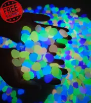 Glow in the Dark Pebbles 500Pcs Glows Rainbow Glow Stones Rocks Luminous Pebbles