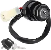 Ignition Key Switches for YFM80 YFM100 YFA125 YFM225 YFM250 YFM350 YFZ350 Ignition Key Switch Ignition Barrel Key Switch