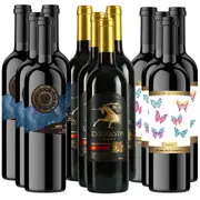 12 Bottle MIXED Shiraz 750ml Red Wine South Australia Vineyards Aris Unicornos B