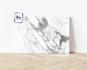 The Photo Board Backdrop • White Marble Intense