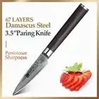 Paring Knife 67 Layers Damascus Steel Wood Handle Hammered Fruit Slicing Peeling