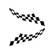 Checkered Flag Stickers Decals Vinyl Decor Waterproof For Cars Rearview Mirrors (for: MG)