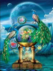 5D Diamond Painting Two Peacock Time Clock Kit