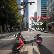 Foldable 4000W Electric Scooter Adult E-Bike 80KM/H 70KM Range Off Road E-Bike