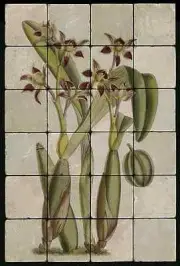 1624 Orchid Backsplash Mural Tumbled Marble Tiles Kitchen Ideas