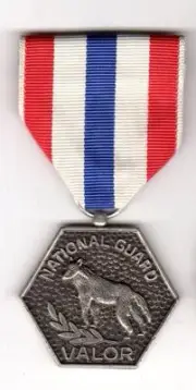 South Dakota National Guard Medal for VALOR Army Air NG