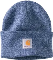 Carhartt Watch Hat, blue for Men