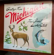 Sufjan Stevens MICHIGAN STATE AKR 2LP Vinyl 500 1st Edition In Hand Sealed