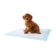 Puppy Training Pad 100 Pack