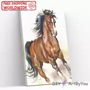 Paint By Numbers Kit Horse Animal Home Art Beginner Painting Canvas Brush Framed