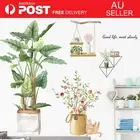 Self-adhesive Removable Wall Sticker & Decal | Indoor Plants | Living Room