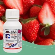 ❀Thiamethoxam Insecticide 20ml For Pest Control For Aphids and Stingin U2Z6