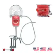 Dental Simulator Manikin Phantom Head Model with Removable Teeth for Training-US