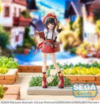 在飛比找買動漫優惠-【萬歲屋】預購24年7月 代理版 SEGA 景品 為美好的世